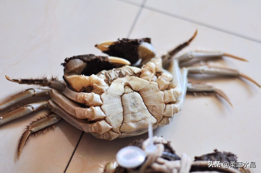 大闸蟹怎么挑肉最好吃蟹黄多,怎样的大闸蟹才是好螃蟹