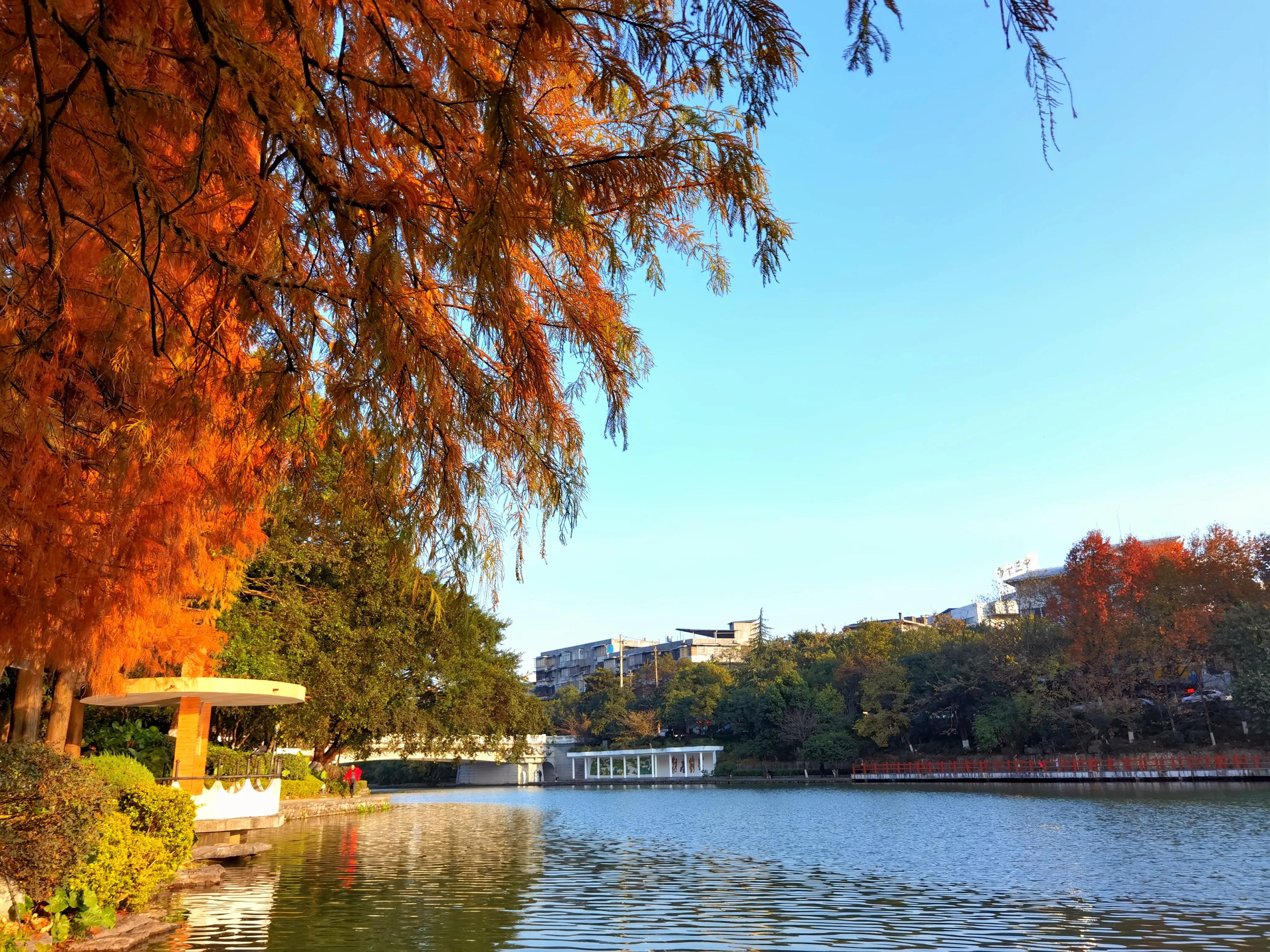 桂林：冬季到桂湖来看景