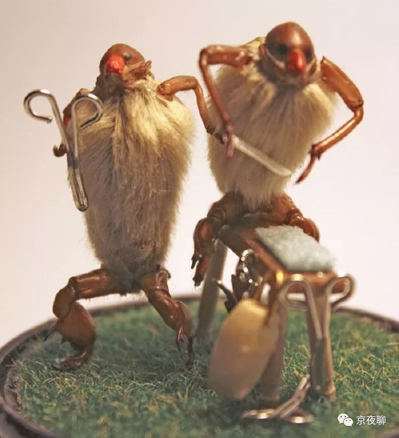 张虹｜玉兰花香且可食