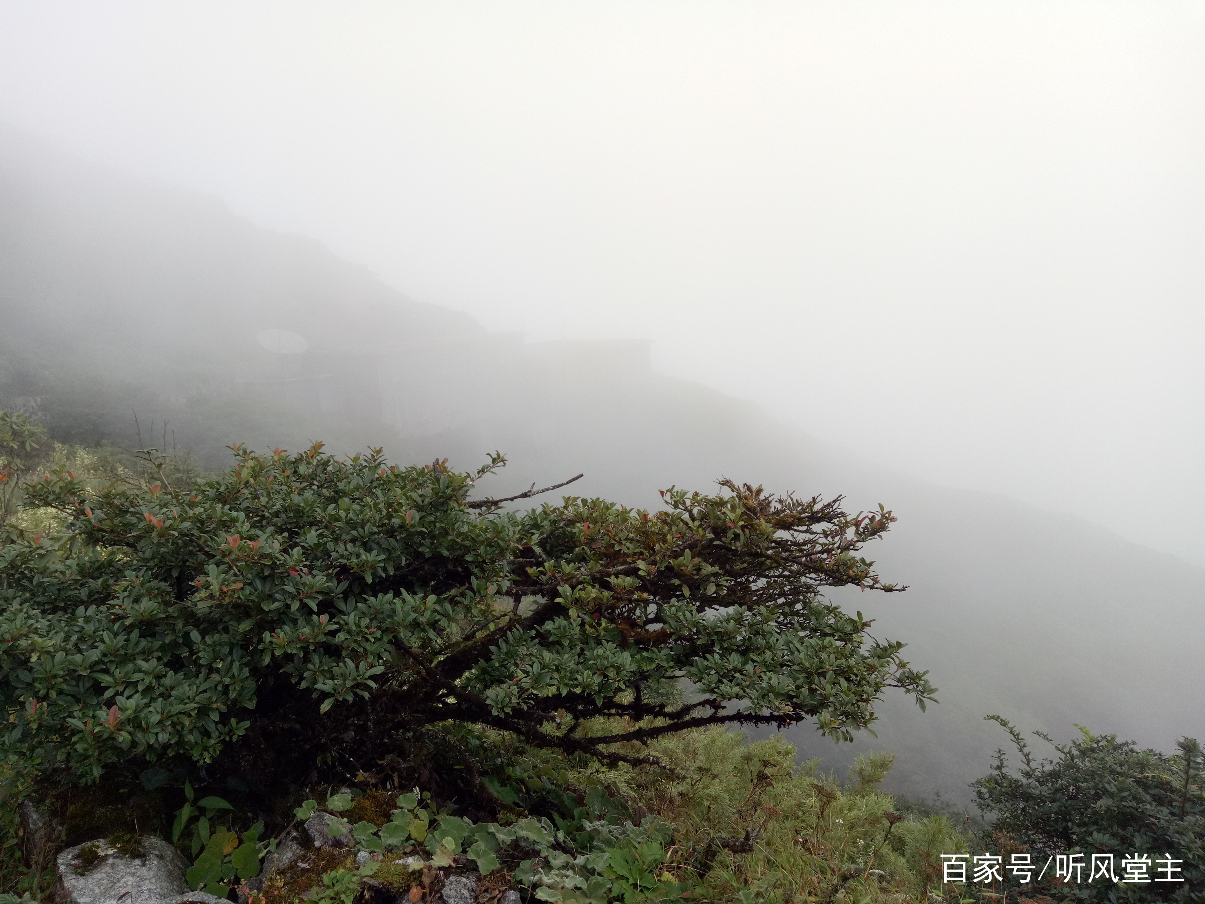 桂林猫儿山一日游攻略,桂林猫儿山旅游攻略一日游