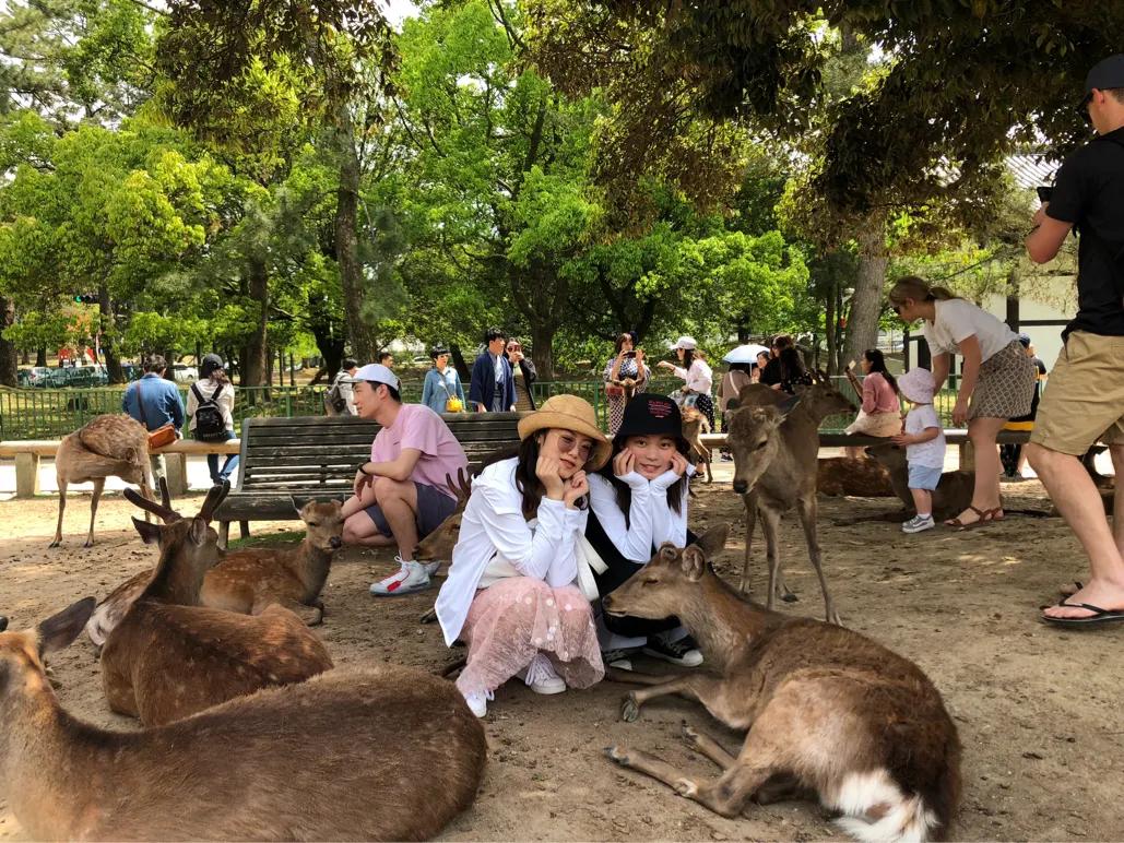 日本大阪旅游攻略最新,日本大阪旅游攻略一天多少钱