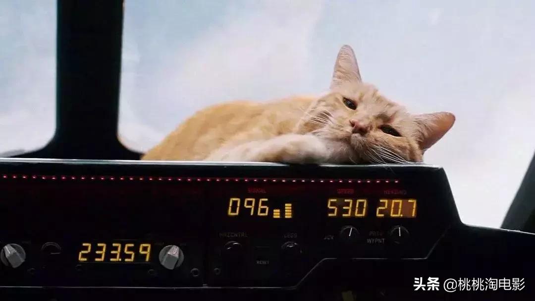 盘点惊奇队长高燃战斗场面,顶级大片惊奇队长