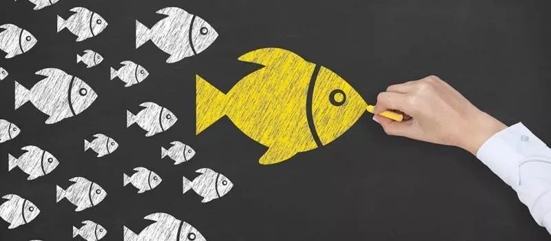 kol营销秘诀,kol对品牌营销的作用