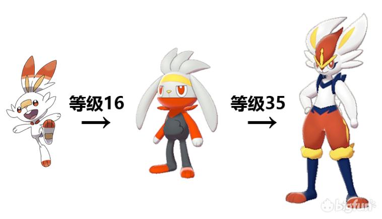 精灵宝可梦剑盾岩狗狗多少级进化,精灵宝可梦剑盾狃拉怎么进化