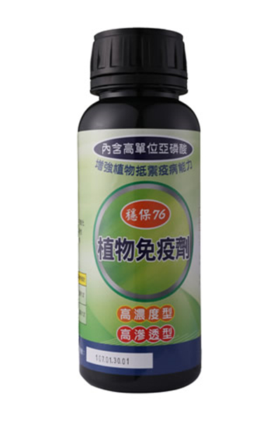 沙糖桔的黄叶病用药,沙糖桔果树黄化病特效药