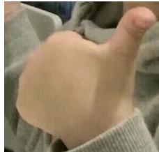 美国最强公立大学!届届承包奥运会全部金牌!UCLA,不说再见