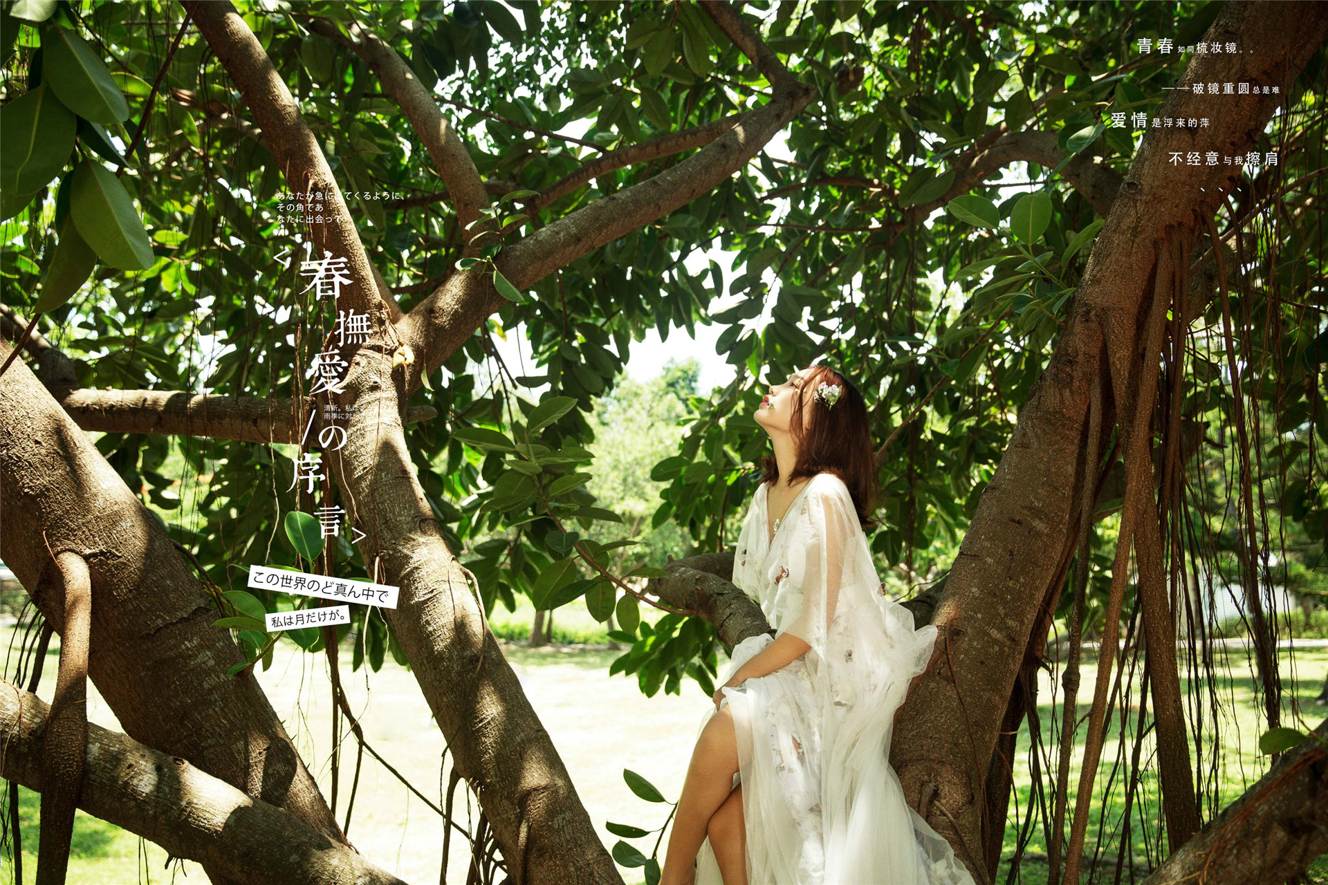 三亚旅行拍婚纱照注意事项,去三亚拍婚纱照如何不会被坑