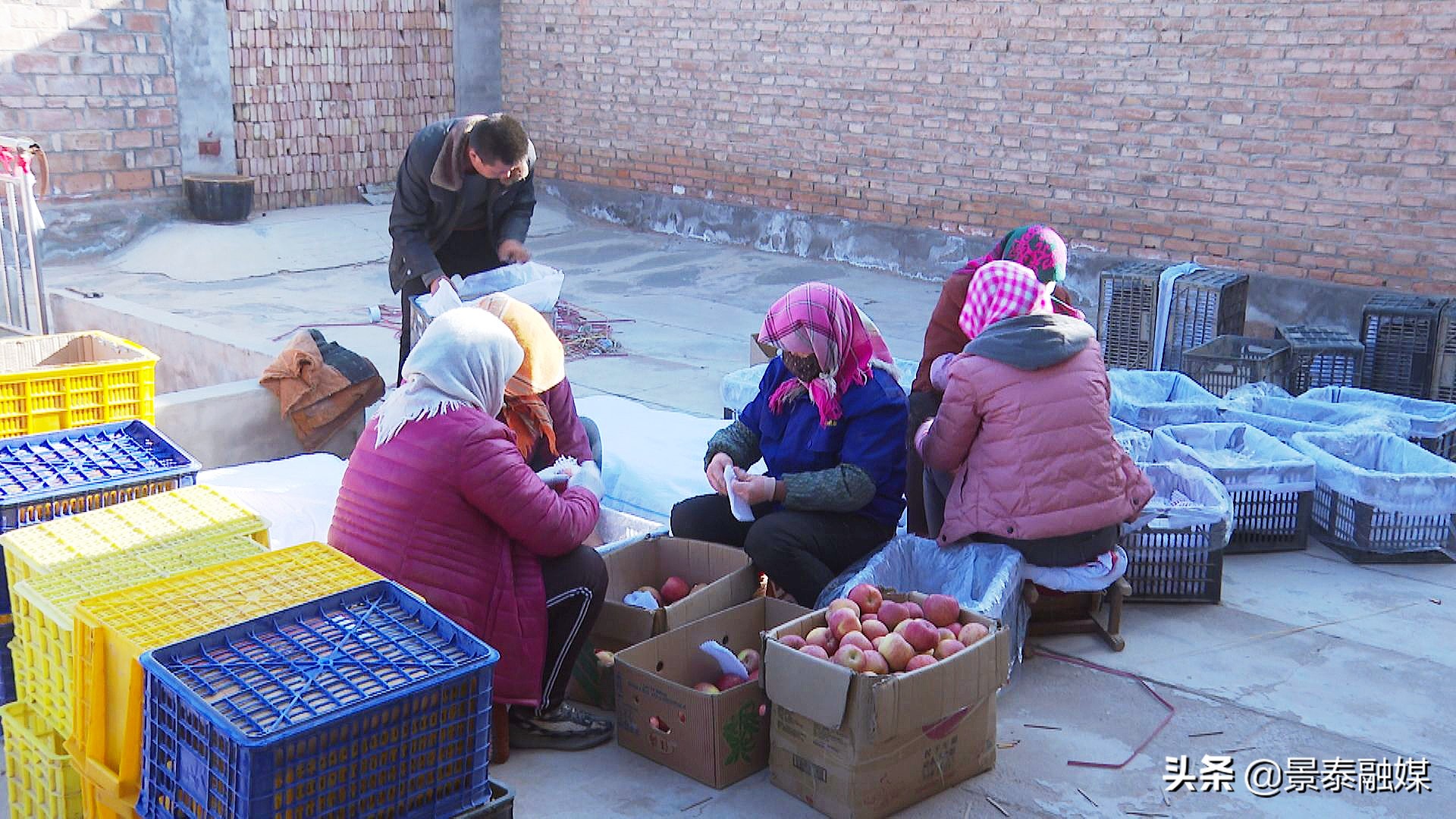 双十一本土电商农特产品备货忙,双十一农特产品展销会简报