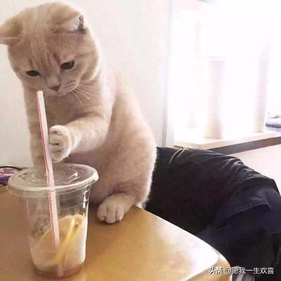 情侣头像是情侣最基本的吗,理想的情侣头像一对