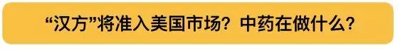 中医中药与日本汉方,日本汉方中药