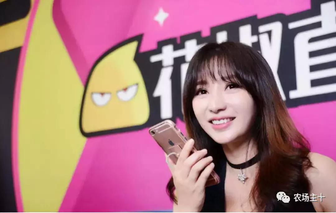 农产品众筹技巧,我国农产品众筹现状