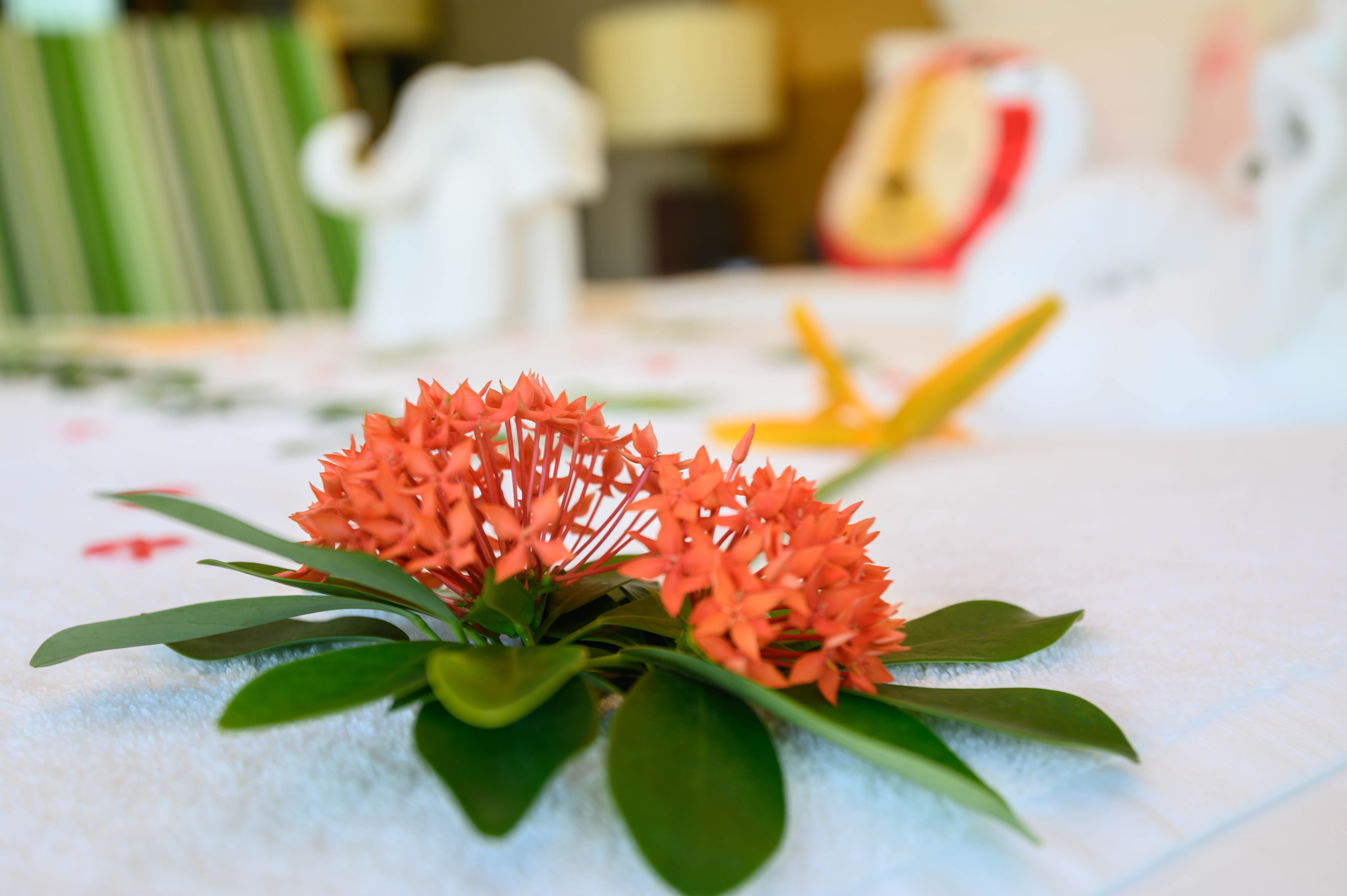 夏天的三亚海边有多热,三亚的夏天比广州和深圳都要凉快