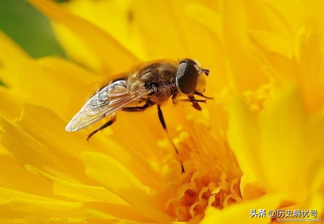 千古最冷门的一首诗,古时候最烂俗的十首诗