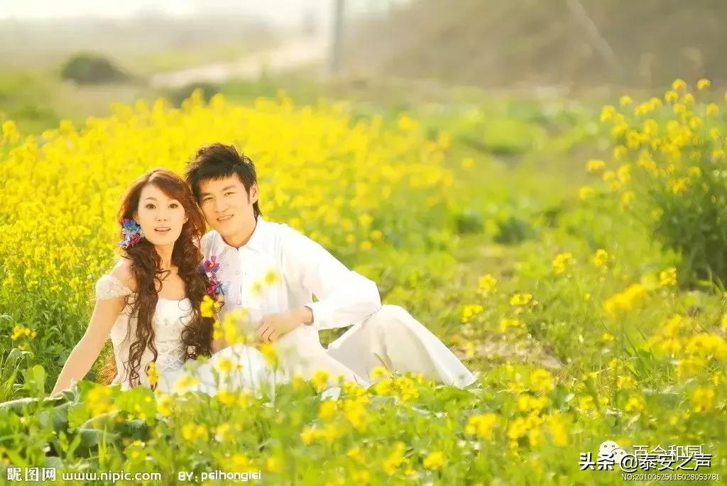 泰山百合和园简介,泰山百合和园