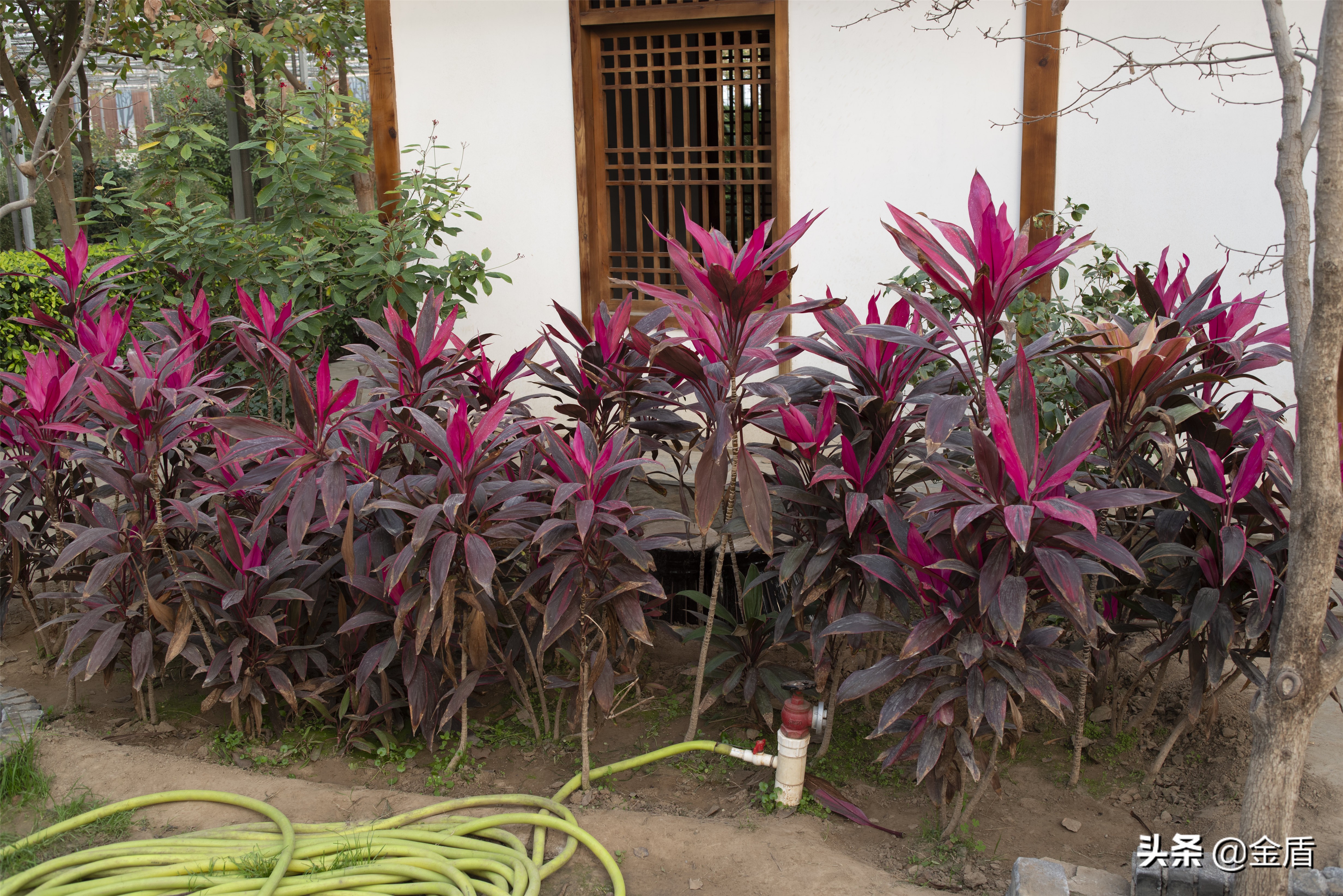 九天休闲谷好玩吗,九天休闲谷冬天开吗