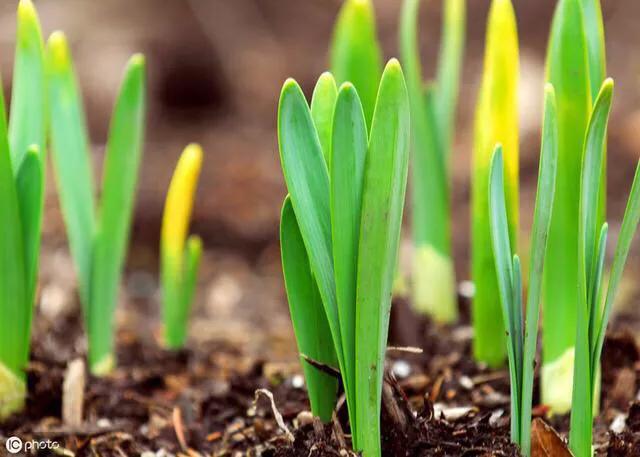 人静的时候躺下来仔细想想,夜深人静时想想自己的人生