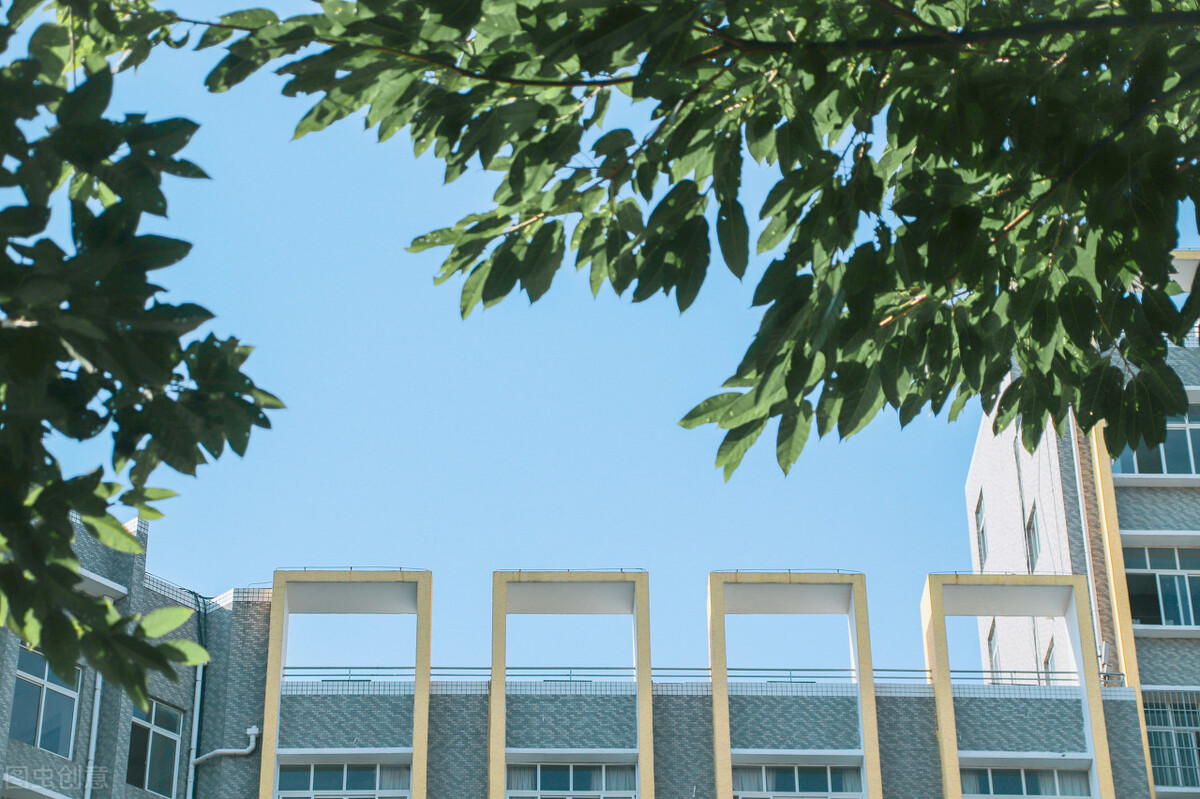 顶级211理工科大学有哪些,中国理工科大学最新排名