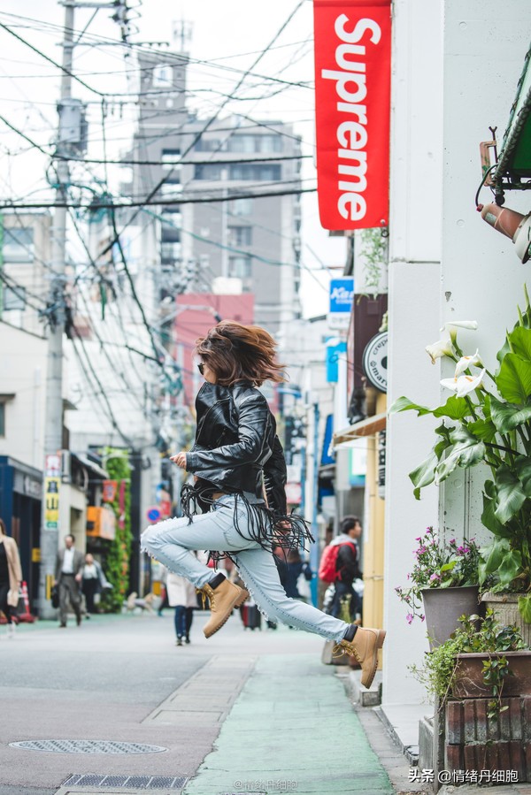 邮轮游选择哪个游轮好,邮轮旅游全攻略公主号