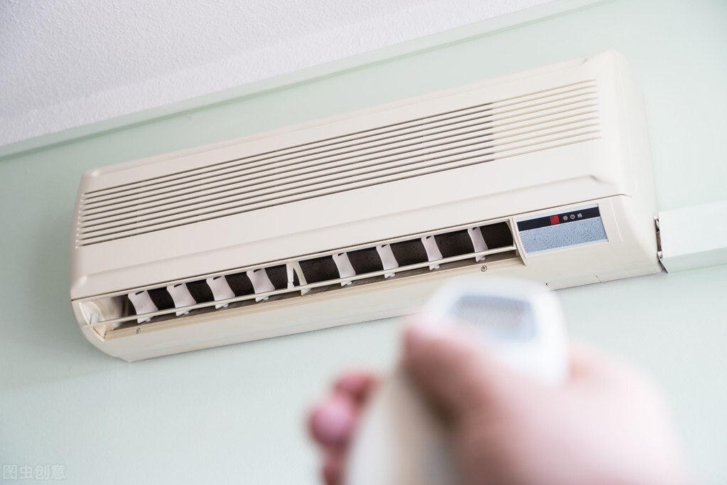 猫怎么养新手养猫需注意4大问题,夏天养猫怎么预防生病