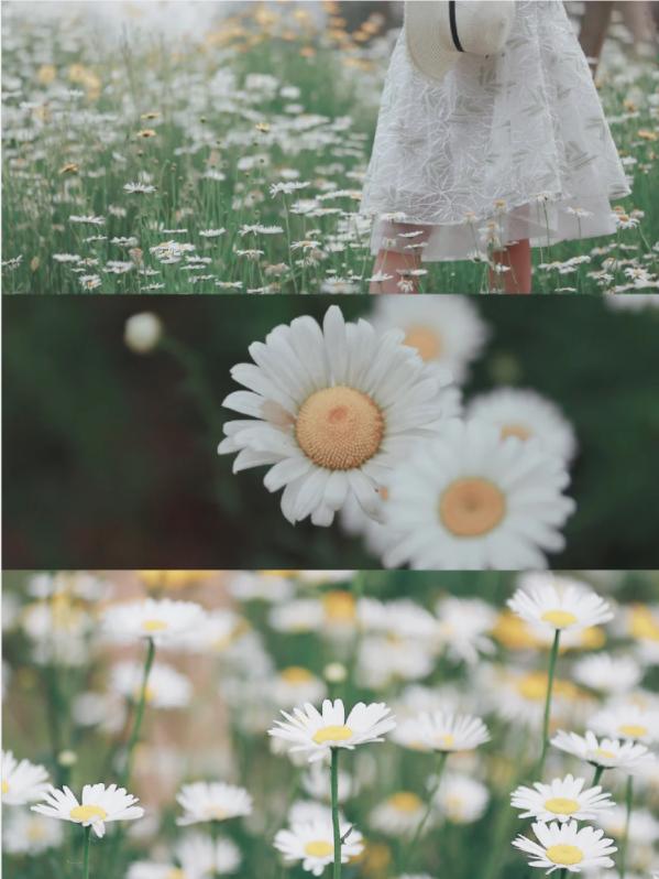 五一小众宝藏旅行地成都周边,成都旅行打卡地