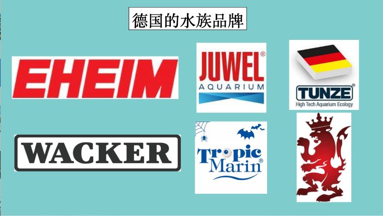 海水产品的优缺点,海水制作的产品有哪些