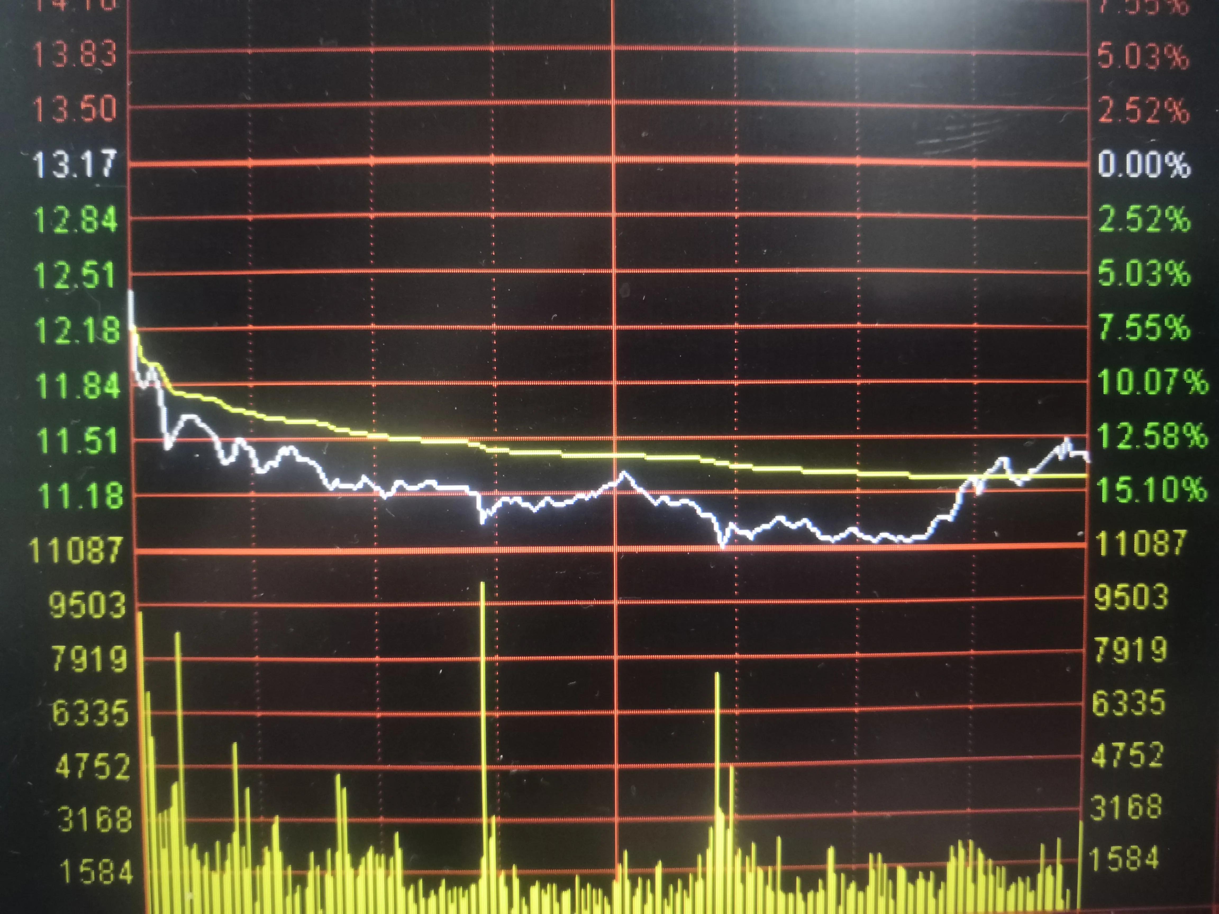 青松股份今日情况,青松股份最新状况