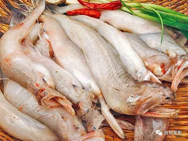 台州人自己说台州的话,台州人真的很懂生活