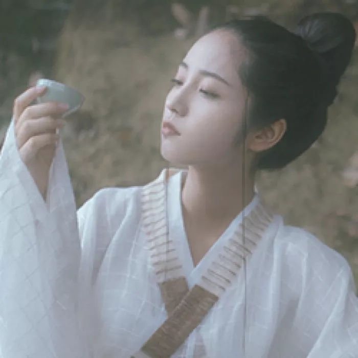 让人一眼就惊羡的古风句子,青山古风唯美的句子