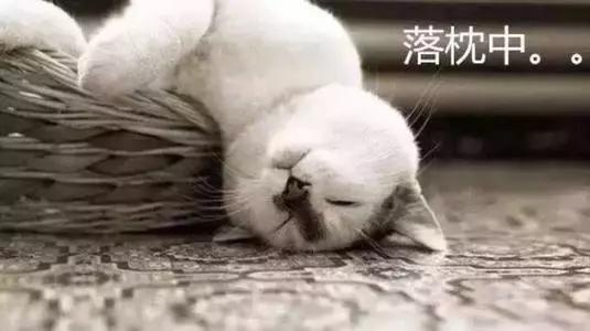 睡落枕脖子扭了,睡落枕可以扭脖子吗