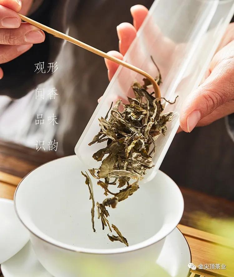 为什么白茶的价格不一样,为什么很多白茶很便宜