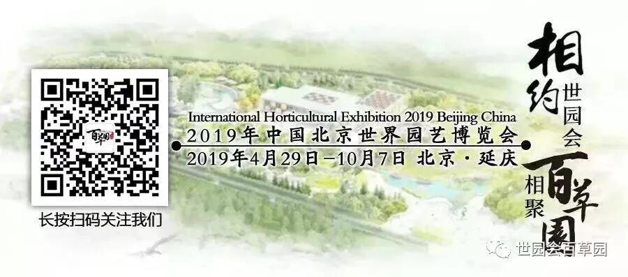 百草记|麦冬：集美貌与功效于一身的神奇中药