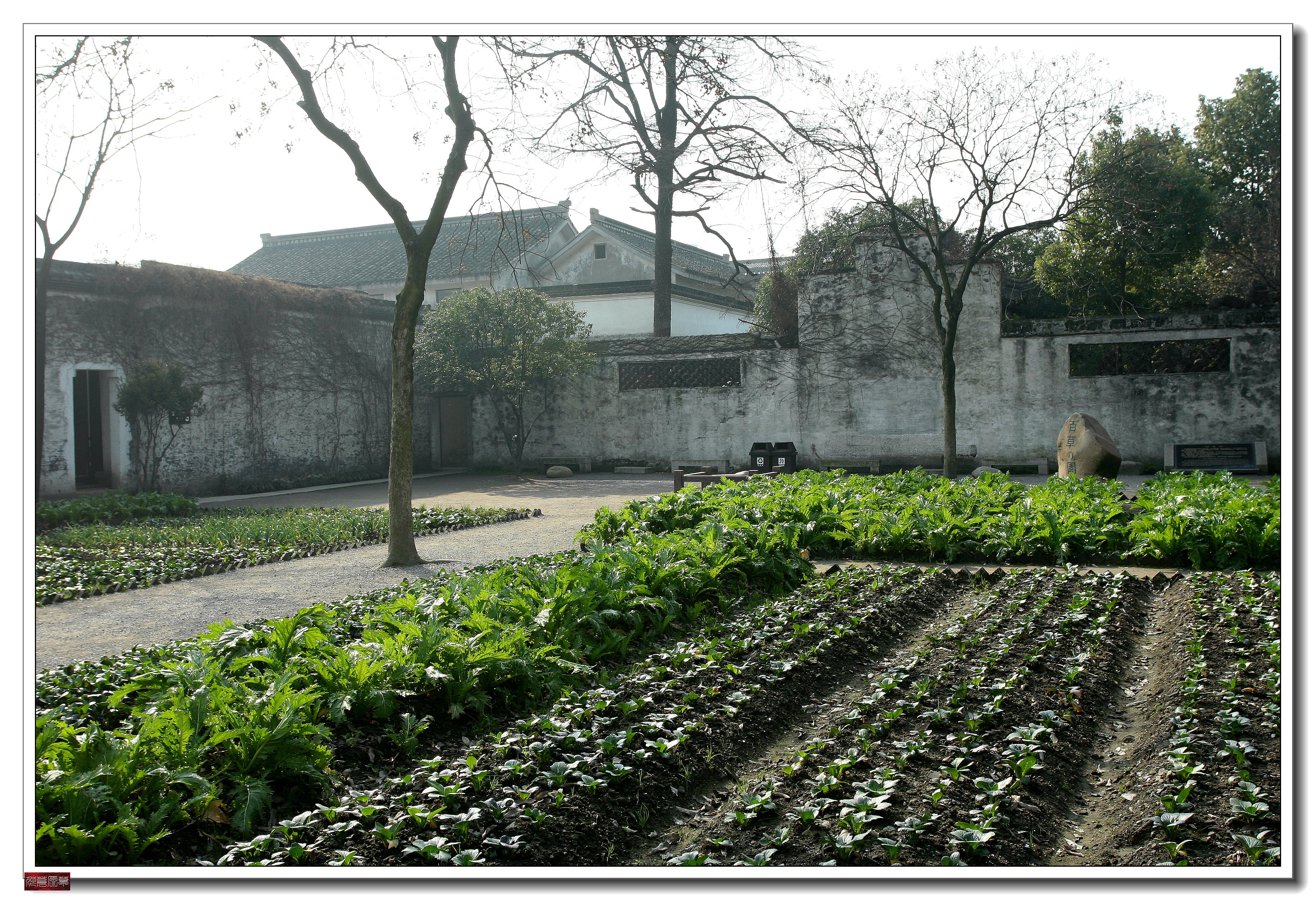 鲁迅故里户外采风活动,鲁迅故里绍兴一日游