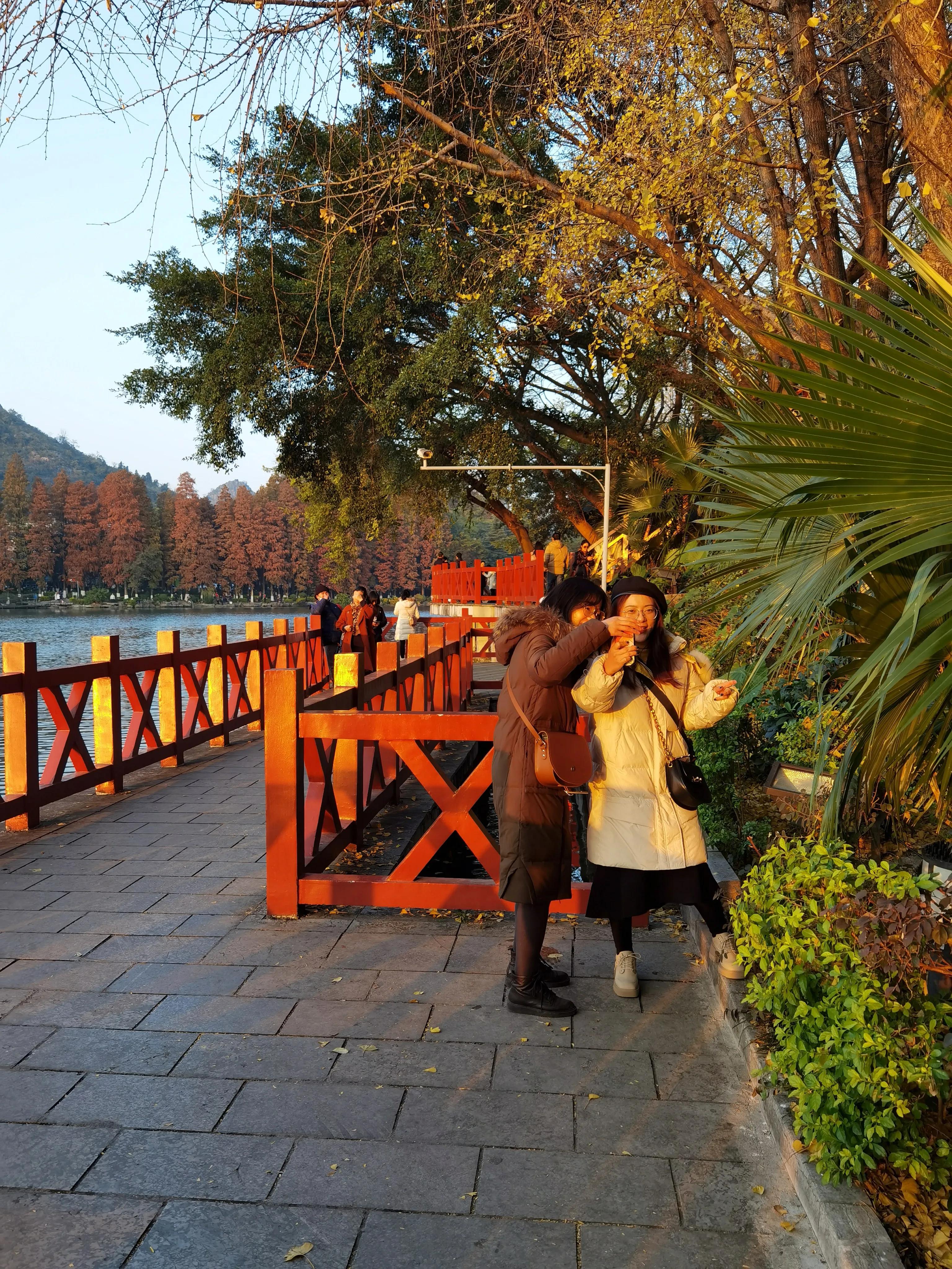 桂林：冬季到桂湖来看景