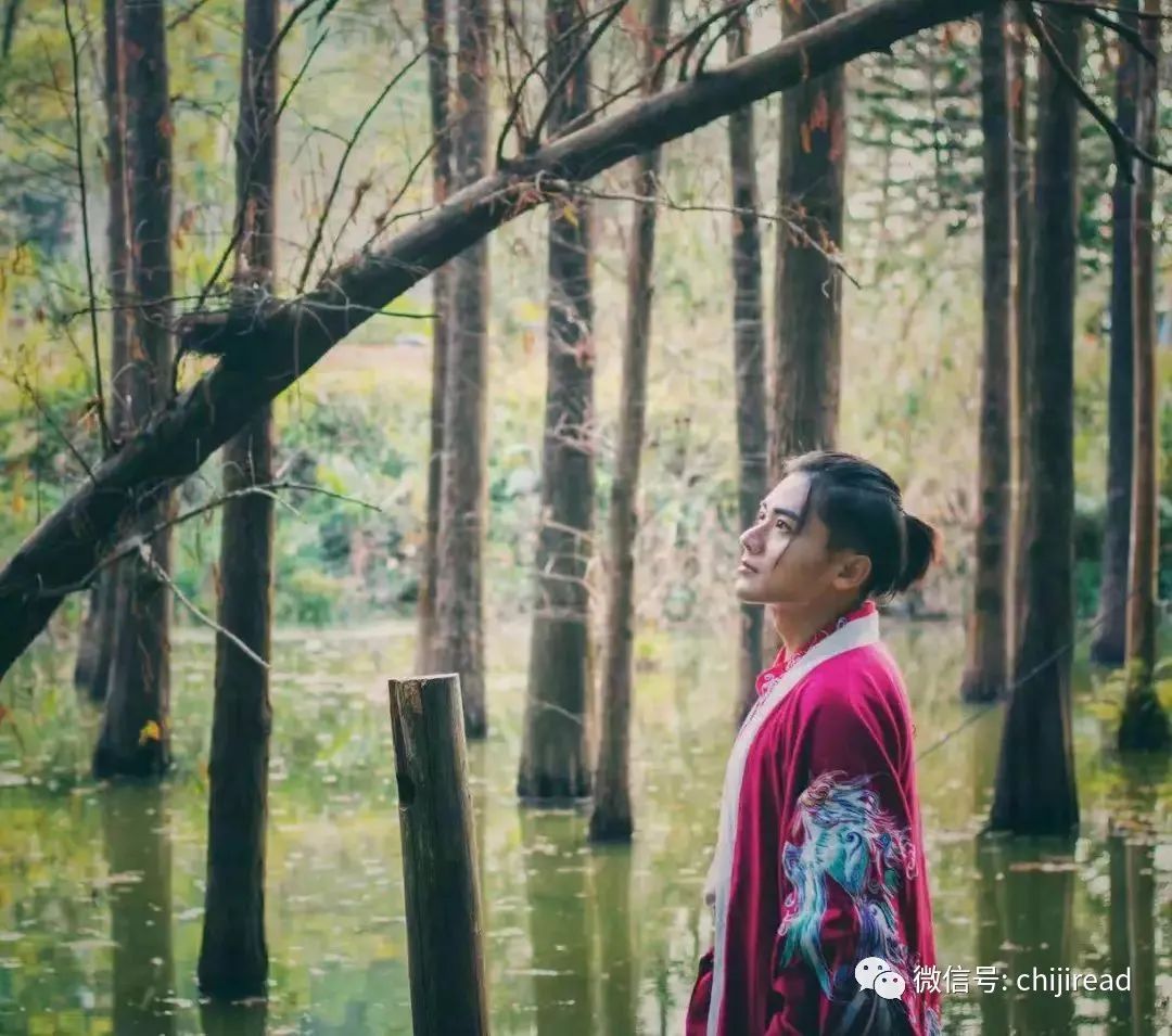 网文小说写男频的女作家,女生能顶半边天是谁说的