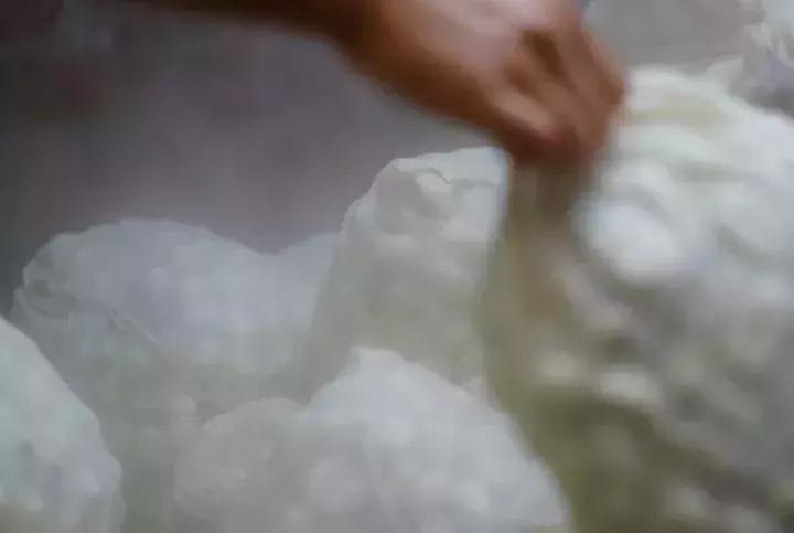 蚕丝的内幕,蚕丝被内幕曝光