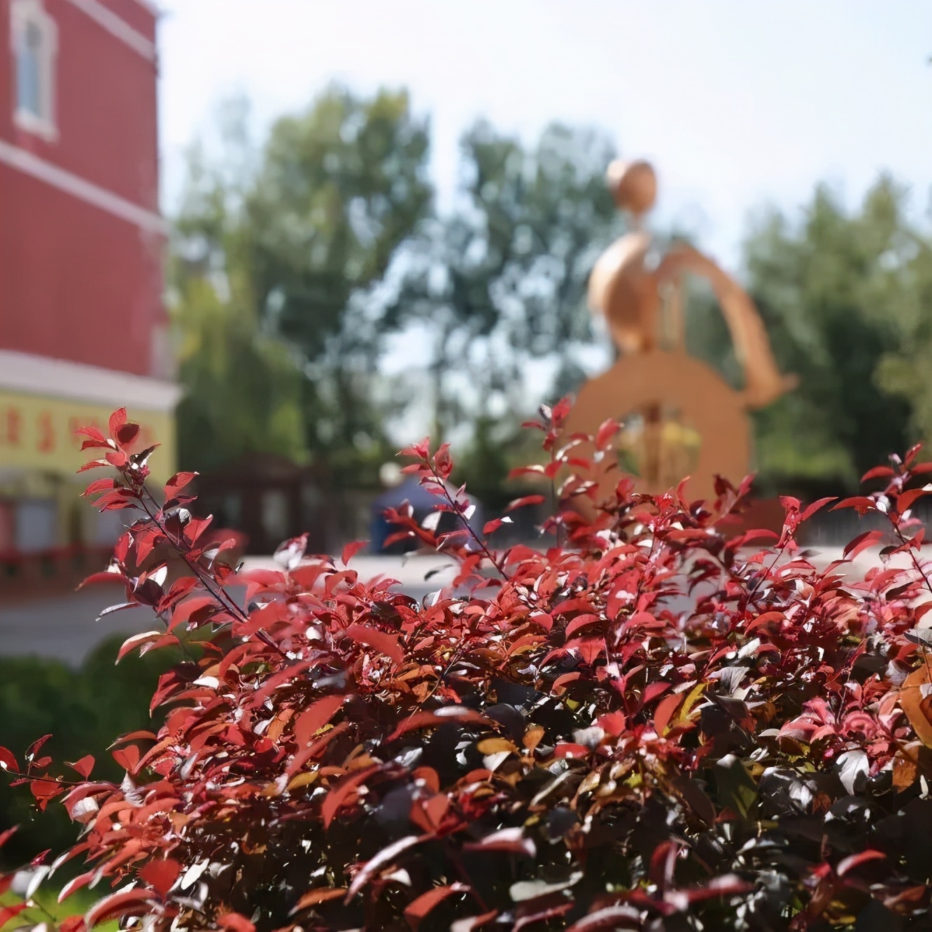 北京所有小学排名一览表,北京30所小学排名一览表