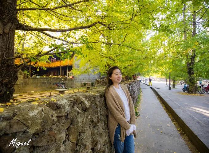 腾冲旅游攻略气温,腾冲深度旅游