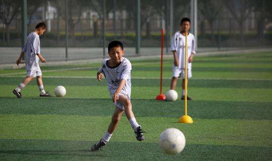 聂卫平吐槽中国足球,聂卫平谈中国足球归化