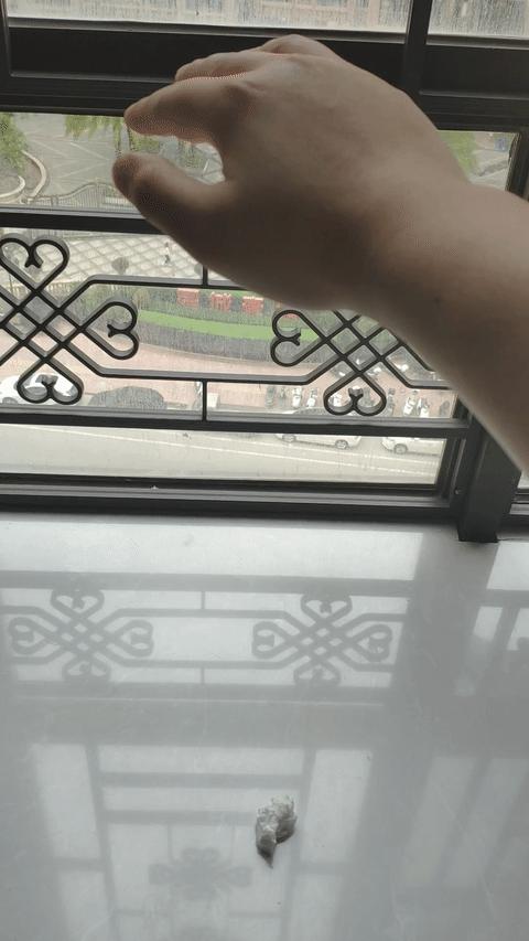 2分钟以上免费gif制作工具手机,免费的gif手机制作软件