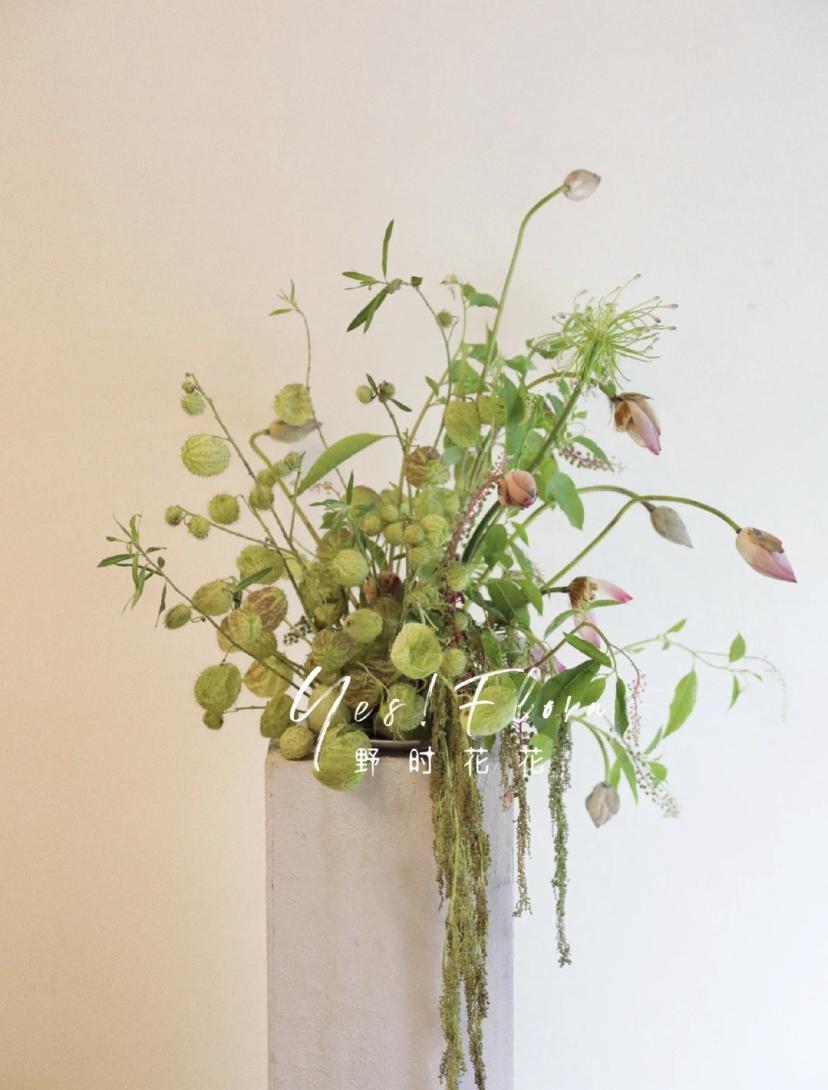 家里要有氛围感什么花比较好,家里高级的花