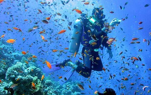 北京工体富国海底世界周一营业,北京工体富国海底世界旅馆