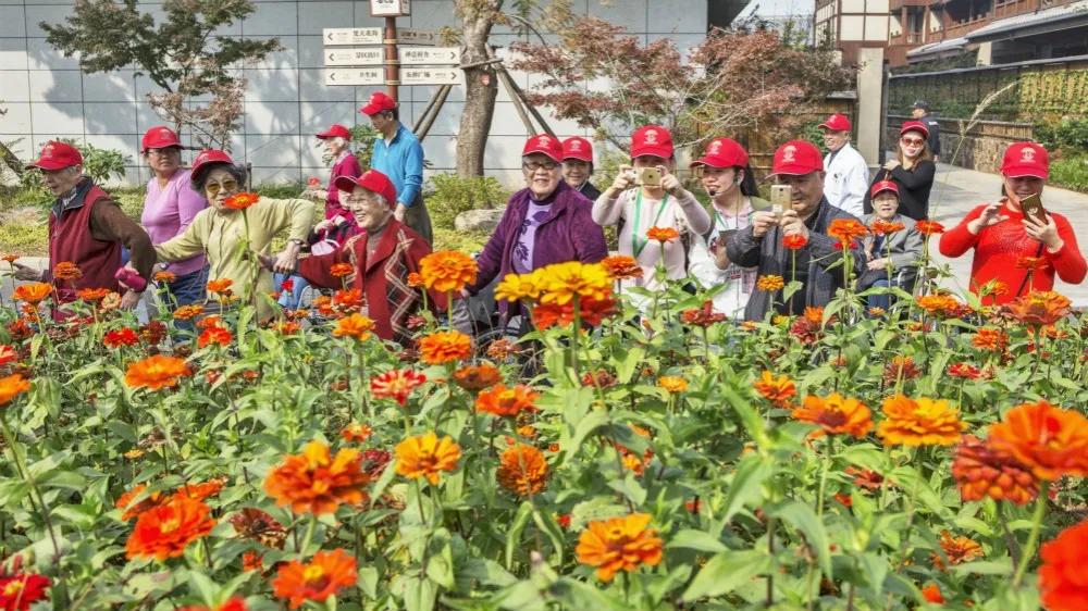 解锁乡村“幸福密码”,解锁幸福生活的密码