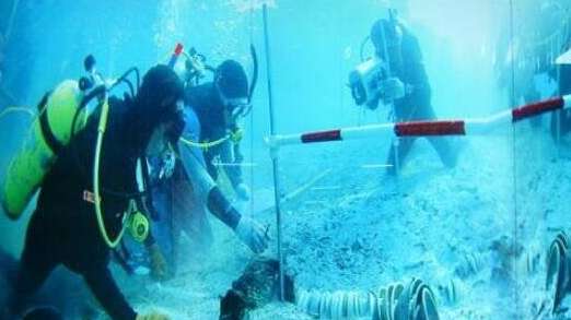 百慕大魔鬼三角洲是真的这么神奇么?欺骗了全世界的弥天大谎