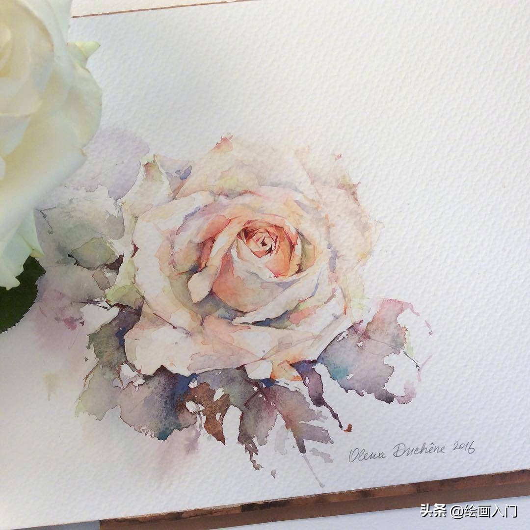 唯美写意水彩花卉,各种水彩花卉的表现技法学习吧