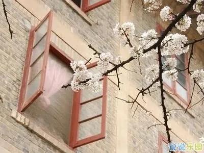 凤凰男可以找富家女结婚吗,凤凰男能娶个什么样的女人