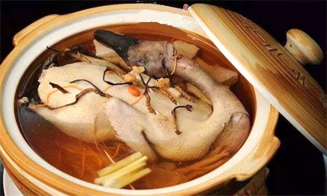 虫草花西洋参怎样吃,西洋参灵芝冬虫夏草一起吃功效