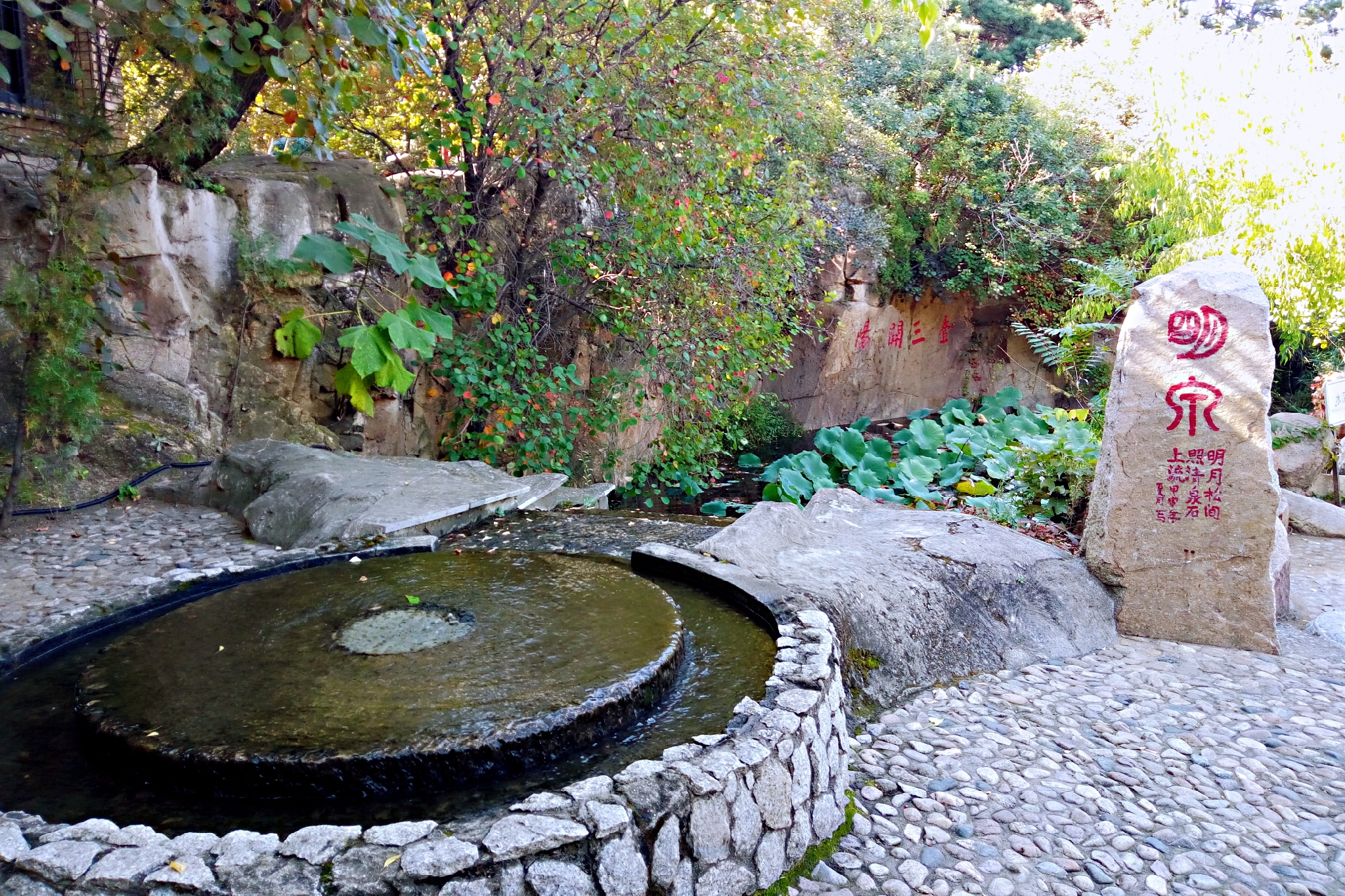 到了北戴河之后怎么去海滨浴场,北戴河怪楼奇园景区今天可以玩吗