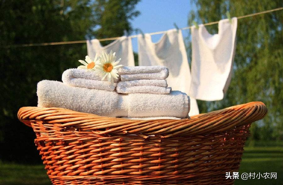 杨梅酸甜可口,但把杨梅汁弄到衣服上怎么办?这6种方法你用过吗?