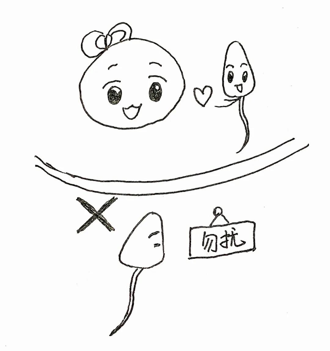 生了个不争气儿子怎么办,婆婆说生不出儿子