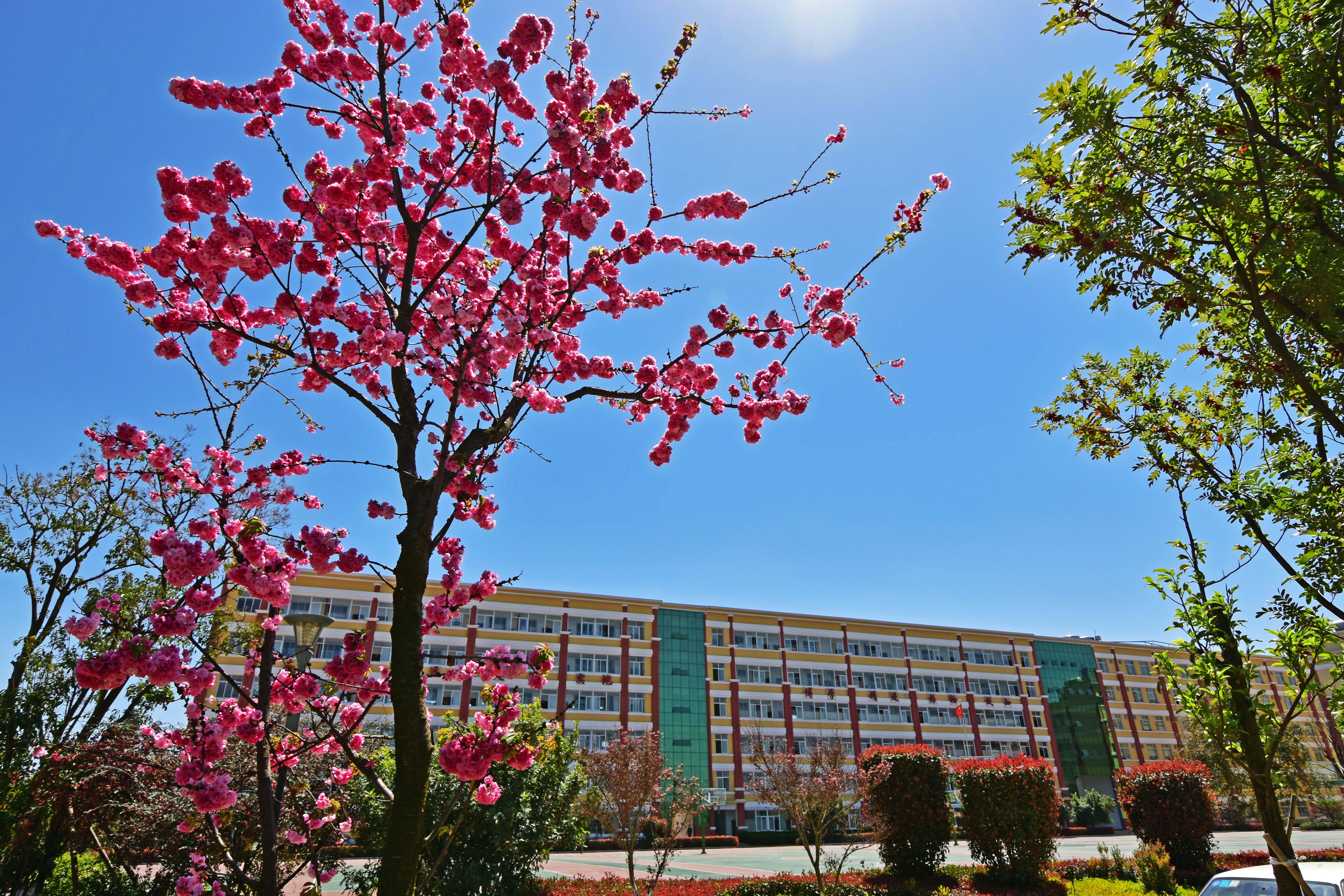 昆三中空港实验学校招生简章,昆三中空港实验学校